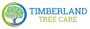 timberlandtreecareindy